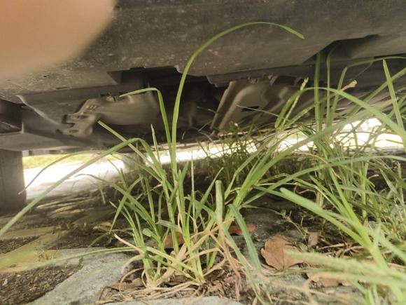 [无锡·苏B] 二手本田英仕派2019款 锐·混动 2.0L 净尚版 国VI