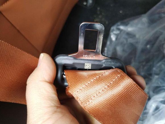 [芜湖·皖B] 二手欧拉欧拉闪电猫2022款 555km 尊贵版