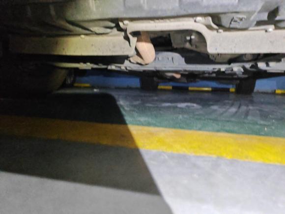 [武汉·鄂W] 二手丰田威尔法2020款 双擎 2.5L HV豪华版