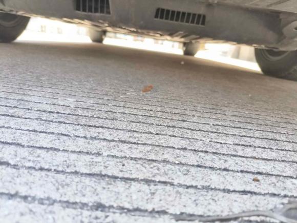 [台州·浙J] 二手本田凌派2019款 180Turbo CVT豪华版 国VI