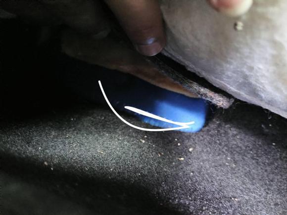 [济南·鲁A] 二手福特福克斯2012款 两厢 1.6L 手动舒适型