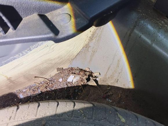 [宁波·浙B] 二手哈弗哈弗H62019款 运动版 1.5T 自动两驱精英型 国VI