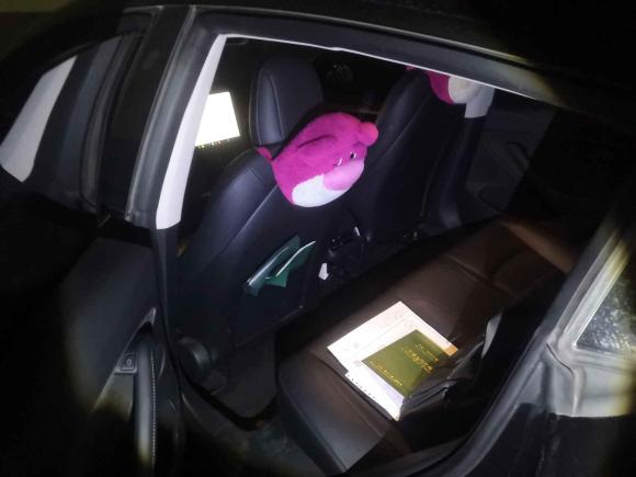 [南京·苏A] 二手特斯拉Model 32022款 后轮驱动版