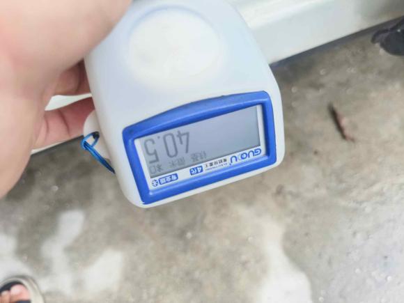 [深圳·粤D] 二手日产逍客2016款 2.0L CVT精英版