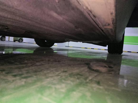 [北京·陕A] 二手福特福克斯2019款 三厢 EcoBoost 180 自动锋耀型