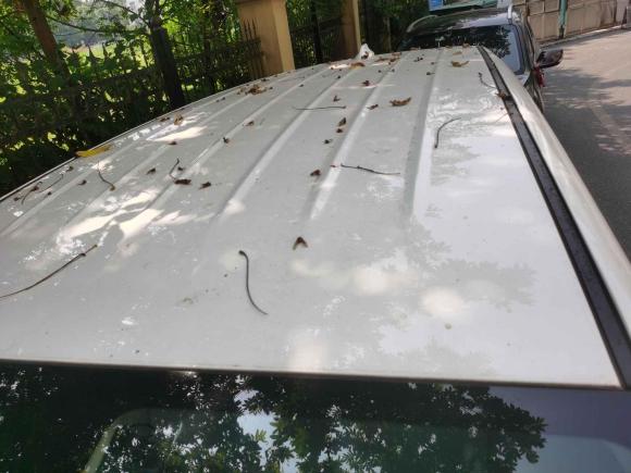 [湖州·浙E] 二手吉利汽车嘉际2019款 1.8TD 自动悦享型