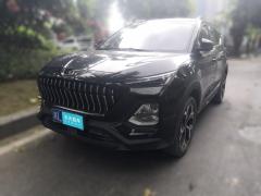 [深圳·湘L]思皓&nbsp;&nbsp;思皓X8&nbsp;&nbsp;2021款300TDCT领先智联版7座