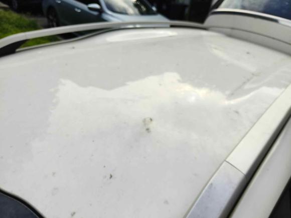 [上海·赣B] 二手标致标致20082014款 1.6L 自动潮流版