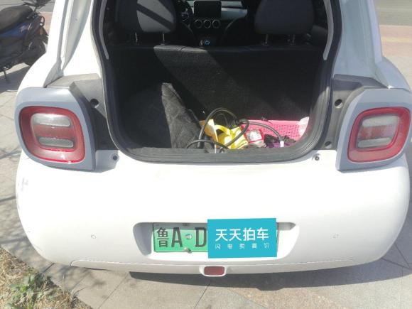 [济南·鲁A] 二手欧拉欧拉黑猫2021款 351km 标准型