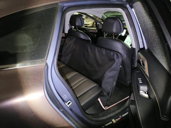 [上海·沪A] 二手小鹏小鹏P52021款 460E