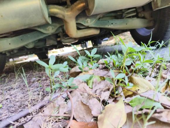 [常州·苏D] 二手宝沃宝沃BX72016款 28T 四驱旗舰版 5座