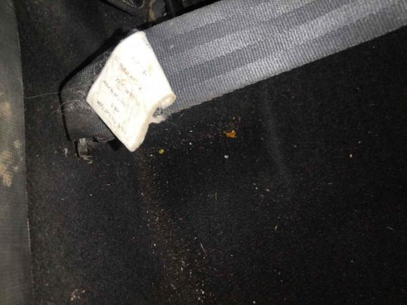 [成都·川A] 二手雪铁龙世嘉2016款 经典 三厢 1.6L 手动CNG