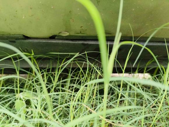 [南京·苏A] 二手奥迪奥迪Q52018款 典藏版 40 TFSI 技术型