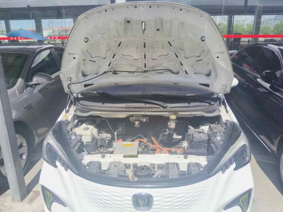 [上海·沪A] 二手长安长安奔奔E-Star2020款 心动版 三元锂