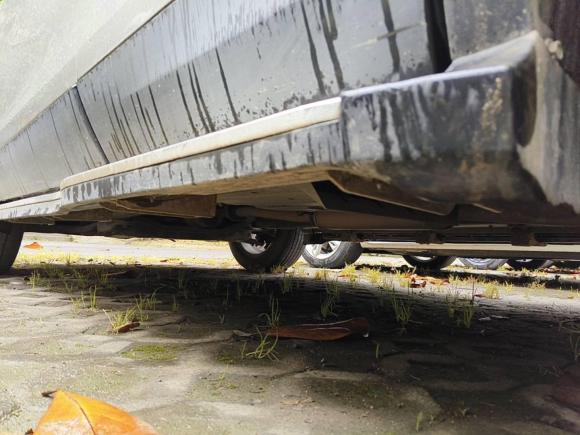 [上海·陕D] 二手东南东南DX32016款 1.5L 手动尊贵型