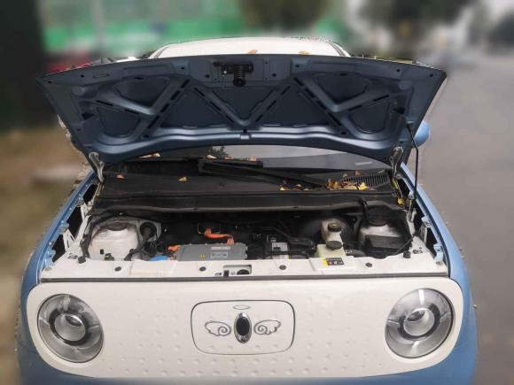 [成都·川A] 二手欧拉欧拉黑猫2019款 351km 亲子版