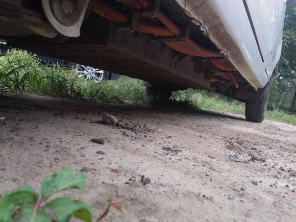 [北京·京A] 二手福田风景V5新能源2019款 纯电动物流车