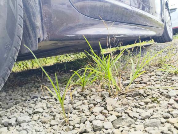 [上海·沪N] 二手捷豹捷豹XF2013款 XF 3.0 SC 风华版