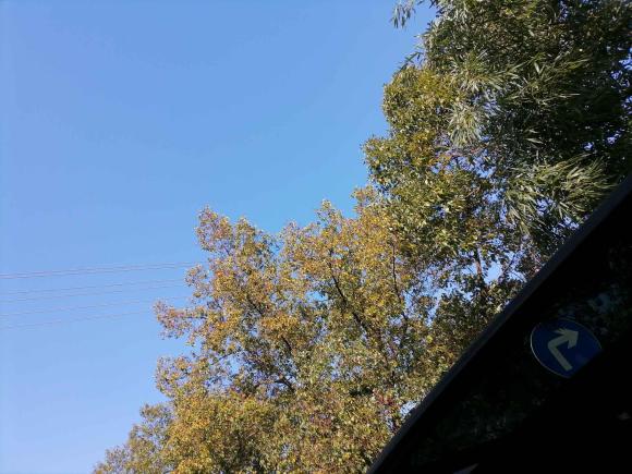 [宁波·豫Q] 二手名爵名爵ZS2017款 1.5L 手动尊享互联网版