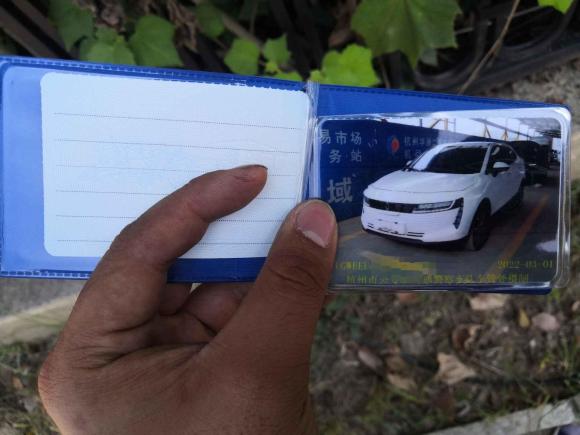 [杭州·浙A] 二手欧拉欧拉iQ2018款 智联型