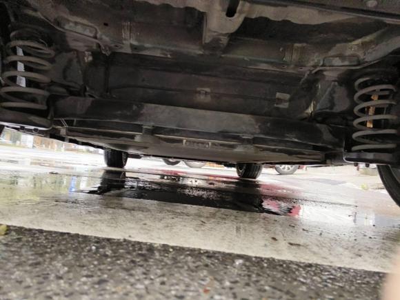 [温州·浙C] 二手比亚迪海豚2021款 401km 骑士版