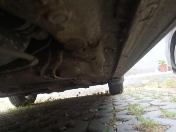 [南京·苏A] 二手大众朗行2015款 1.6L 手动风尚版