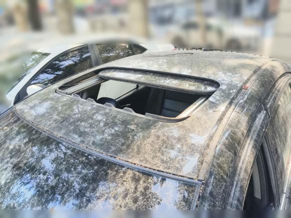 [武汉·鄂A] 二手本田凌派2013款 1.8L 自动豪华版