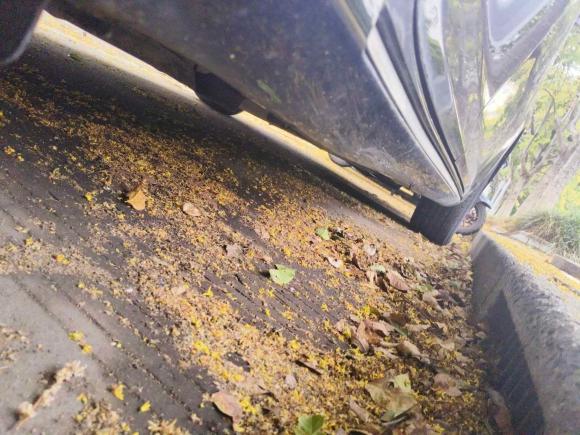 [上海·浙F] 二手丰田凯美瑞2013款 2.0G 舒适版