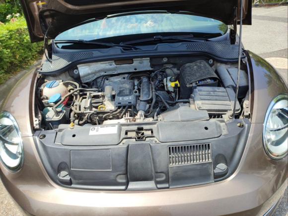 [上海·沪C] 二手大众甲壳虫2014款 1.2TSI 时尚型