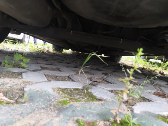 [上海·沪A] 二手日产骐达TIIDA2011款 1.6L CVT智能型