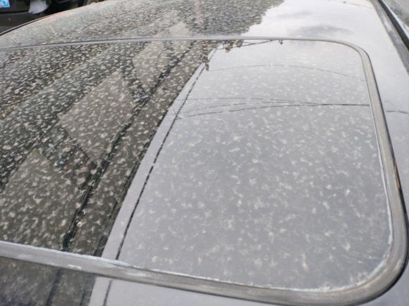 [上海·苏A] 二手丰田锐志2008款 2.5S 特别纪念版