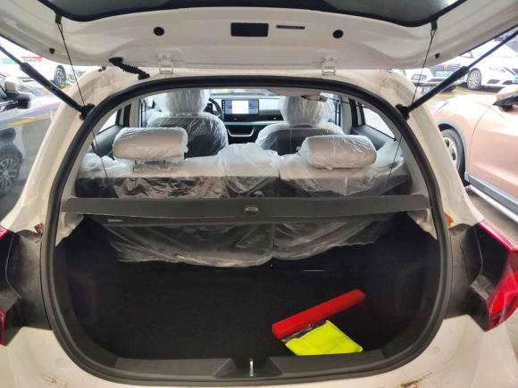 [上海·苏F] 二手云度云兔2023款 415km 跃动款