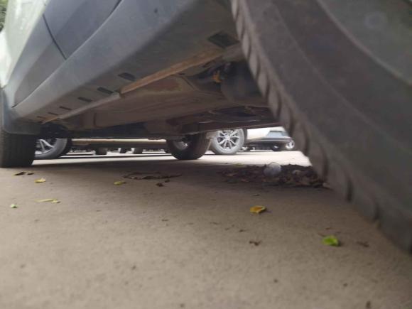 [深圳·粤B] 二手福特翼搏2013款 1.5L 自动风尚型