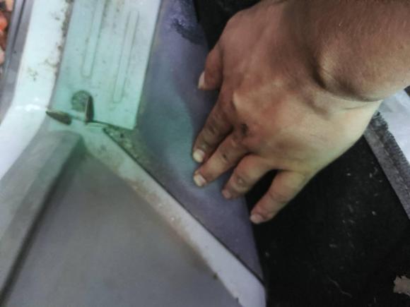 [苏州·苏E] 二手金杯新海狮X30L2021款 1.5L财富中央空调版客车国VI SWC15M