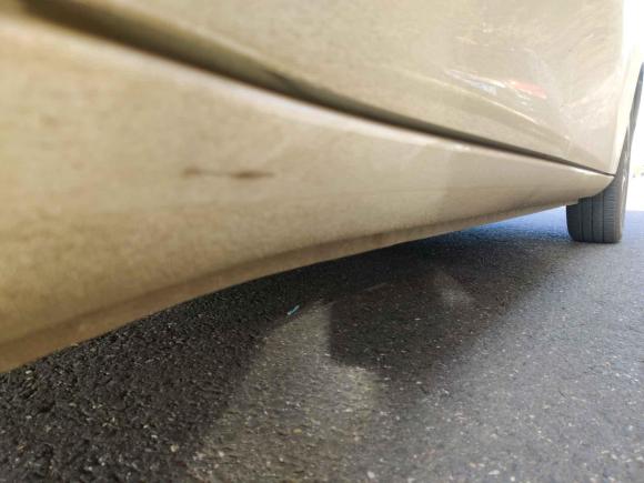 [南京·苏A] 二手欧拉欧拉白猫2020款 305km 豪华型