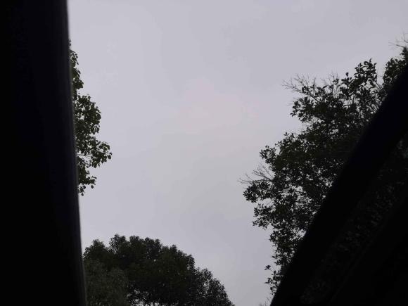 [上海·鄂J] 二手荣威荣威W52013款 1.8T 2WD 自动胜域版