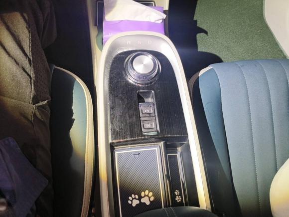 [芜湖·皖B] 二手欧拉欧拉好猫2021款 400km标准续航 雅典娜版 三元锂