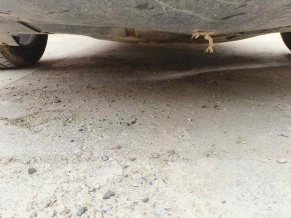 [南昌·赣E] 二手宝骏宝骏7302017款 1.5T 手动尊享型 7座