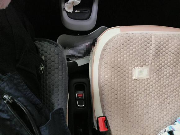 [合肥·皖A] 二手零跑汽车零跑T032022款 皓玉版