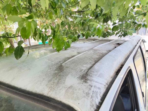 [合肥·皖P] 二手金杯金杯海狮2014款 2.0L第五代快运王商务型4G19