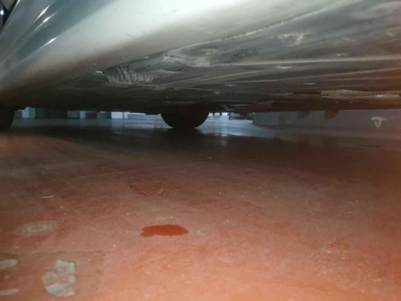 [南通·苏F] 二手宝马宝马3系2019款 320i M运动曜夜版