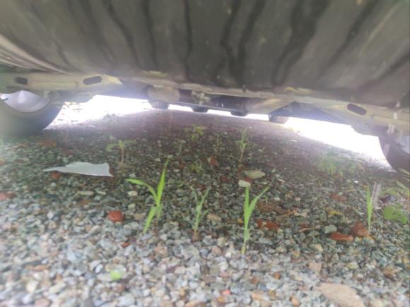 [南京·苏A] 二手捷豹捷豹XEL2022款 2.0T 250PS R-DYNAMIC S进取运动版