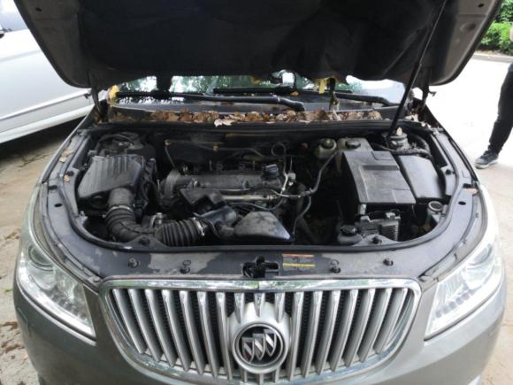 [上海·赣A] 二手别克君越2010款 2.4L豪华版