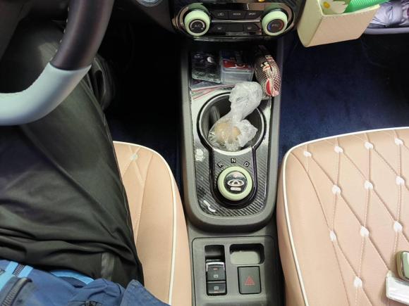 [合肥·皖A] 二手奇瑞新能源小蚂蚁2022款 甜粉款 半糖版 磷酸铁锂 30kW 301km