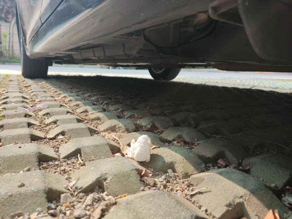 [苏州·苏E] 二手丰田凯美瑞2015款 2.0E 精英版