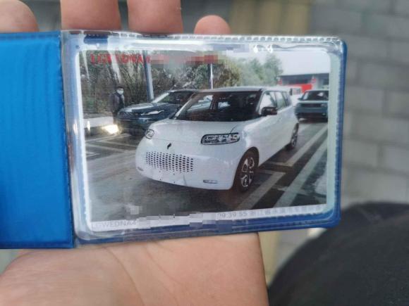 [金华·浙G] 二手欧拉欧拉白猫2020款 401km 旗舰型