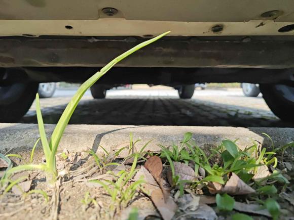 [南通·苏F] 二手雷诺科雷傲2016款 2.0L 两驱时尚版