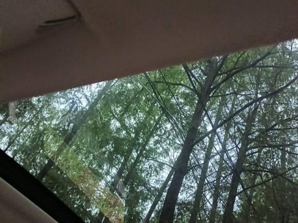 [上海·沪F] 二手宝马宝马X12023款 sDrive25Li X设计套装