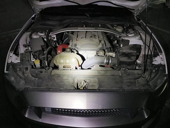 [无锡·苏B] 二手福特Mustang2015款 2.3T 性能版