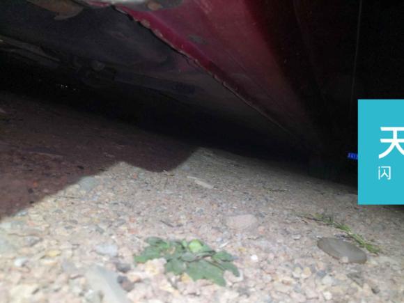 [青岛·鲁B] 二手日产蓝鸟2016款 1.6L CVT智酷版